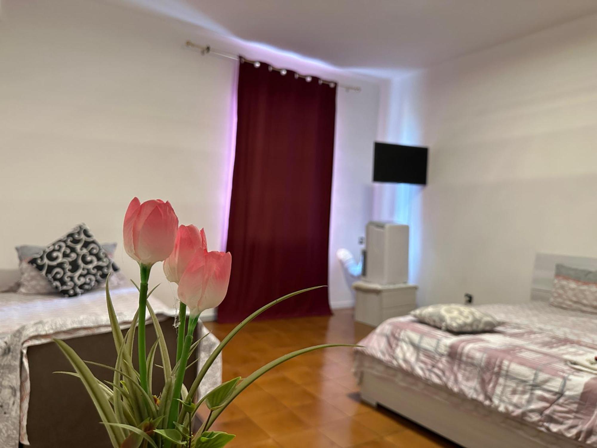 Good Morning Venice Apartment Exterior foto